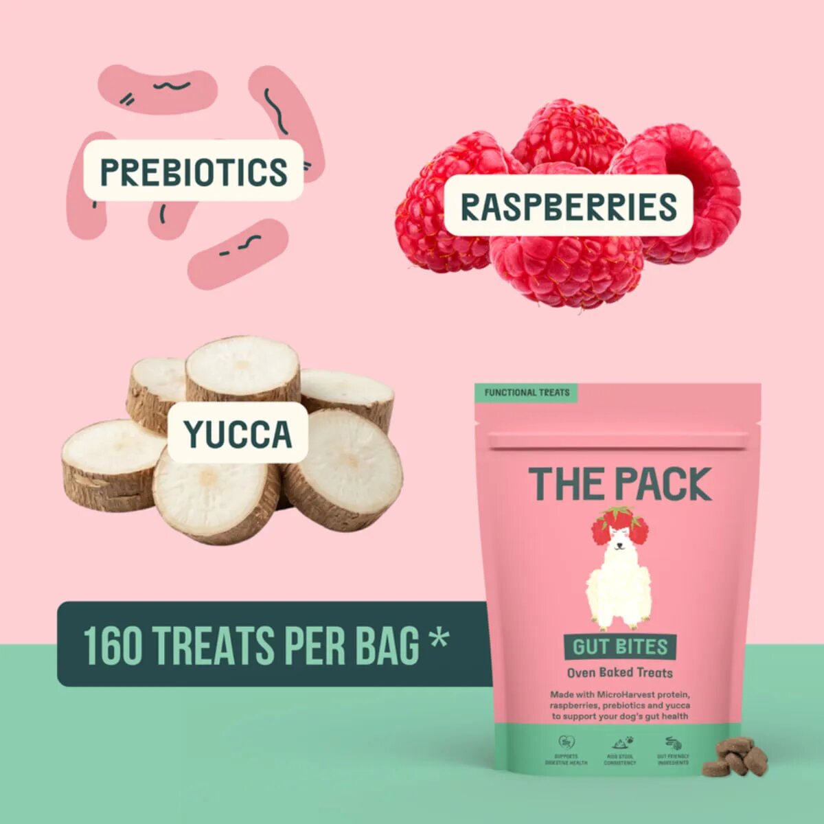 THE PACK Gut Bites XS-XL Fructe punguță recompense câini sistem digestiv 100g