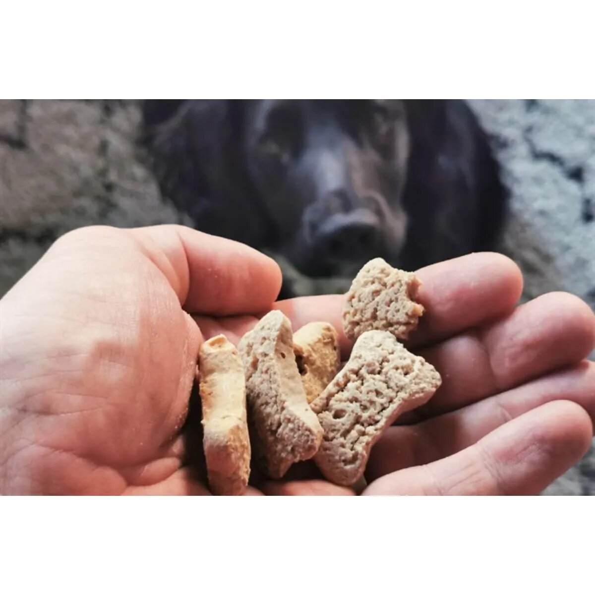 TRIBAL Rewards XS-XL Ficat de Vită punguță recompense funcționale câini apetit capricios 125g