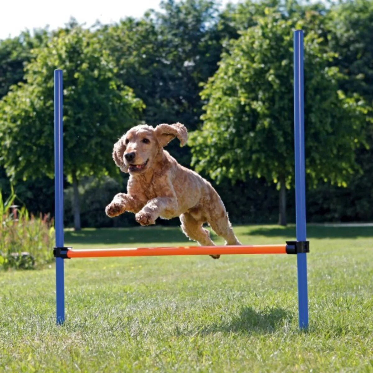 Trixie Agility Hurdle jucărie obstacol câini plastic 129cm x 115cm x 3cm albastru cu portocaliu