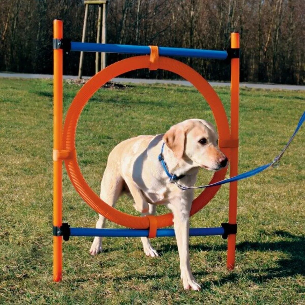 Trixie Agility Ring jucărie obstacol câini plastic 65cm albastru cu portocaliu
