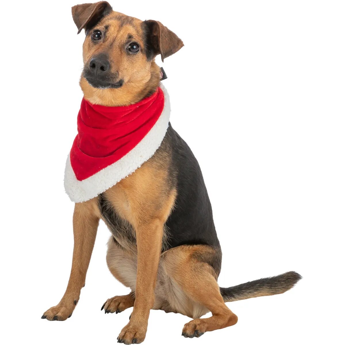 Trixie Christmas Velvet look eşarfă câini pluș roșu S(55cm)