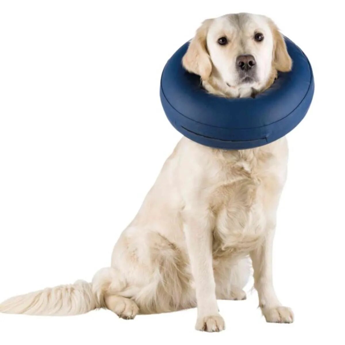 Trixie guler protector câini gonflabil poliuretan M guler protector câini gonflabil poliuretan 40-45cm