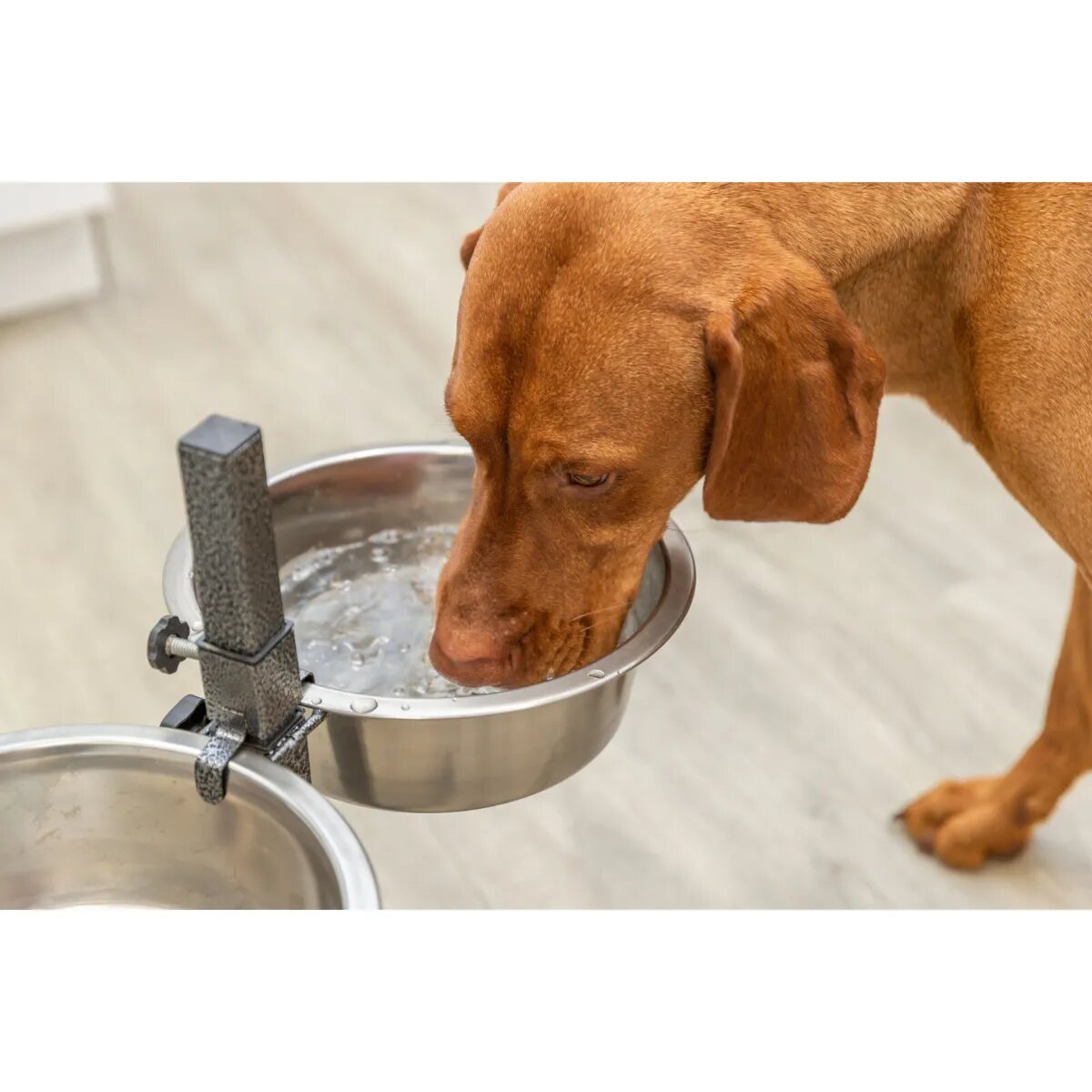 Trixie set suport castroane câini + 2 boluri înalțime reglabilă metal L-XL(2.8l ⌀24cm)