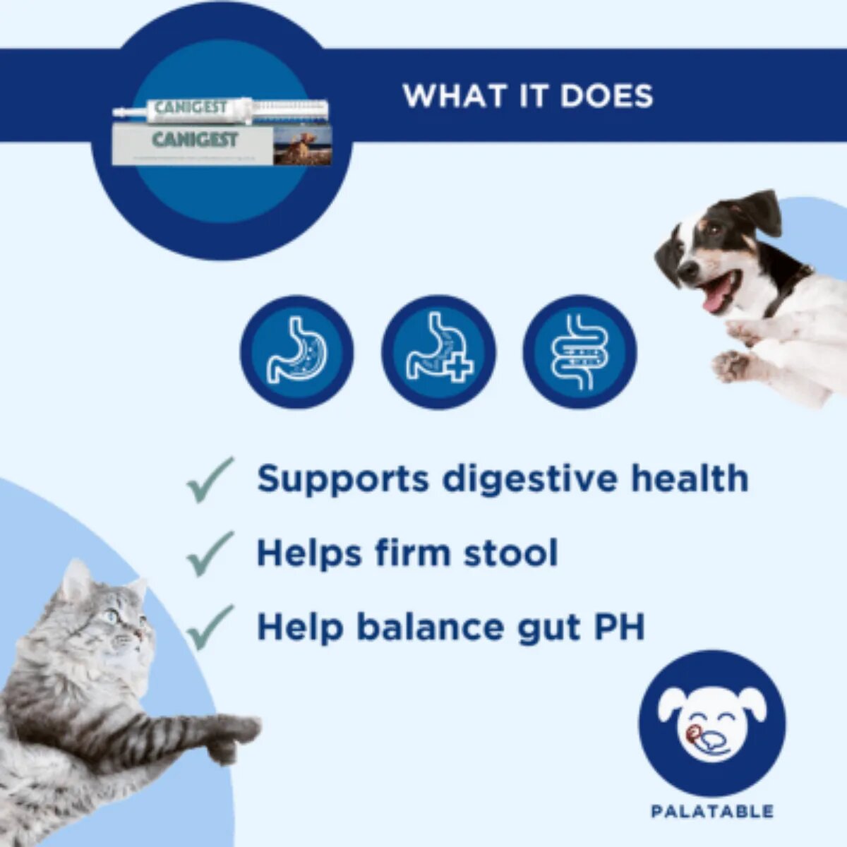 TRM Canigest Oral Paste supliment sistem digestiv & probiotice câini pastă orală Canigest Oral Paste XS-XL supliment sistem digestiv & probiotice câini și pisici flacon 15ml pastă orală