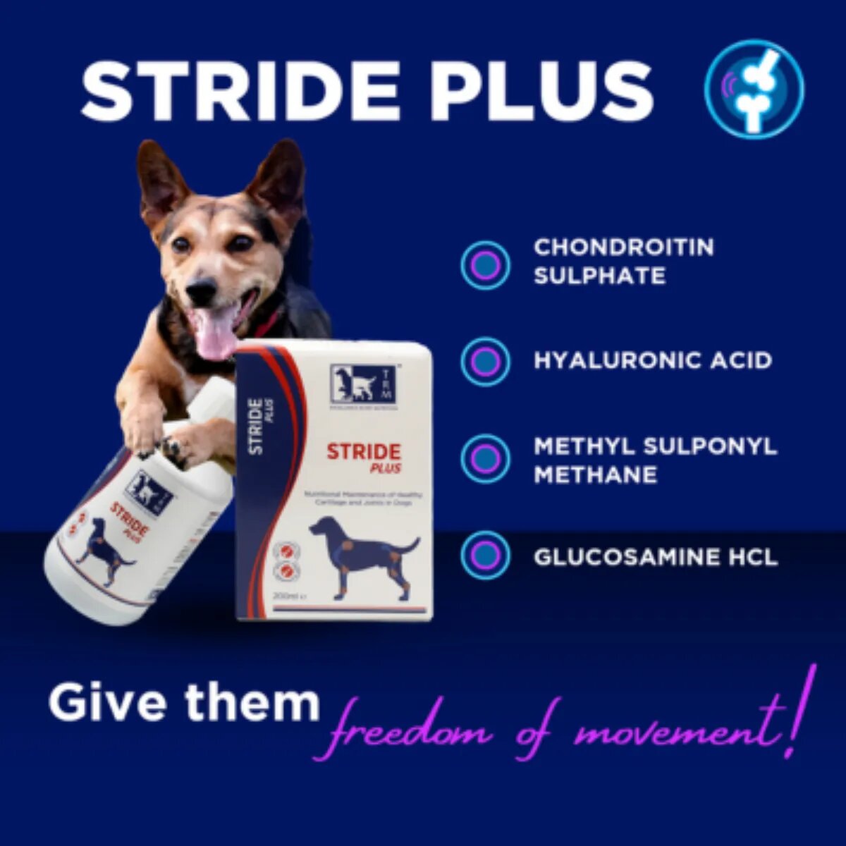 TRM Stride Plus supliment sistem articular câini suspensie orală Stride Plus XS-XL supliment sistem articular câini flacon 200ml suspensie orală