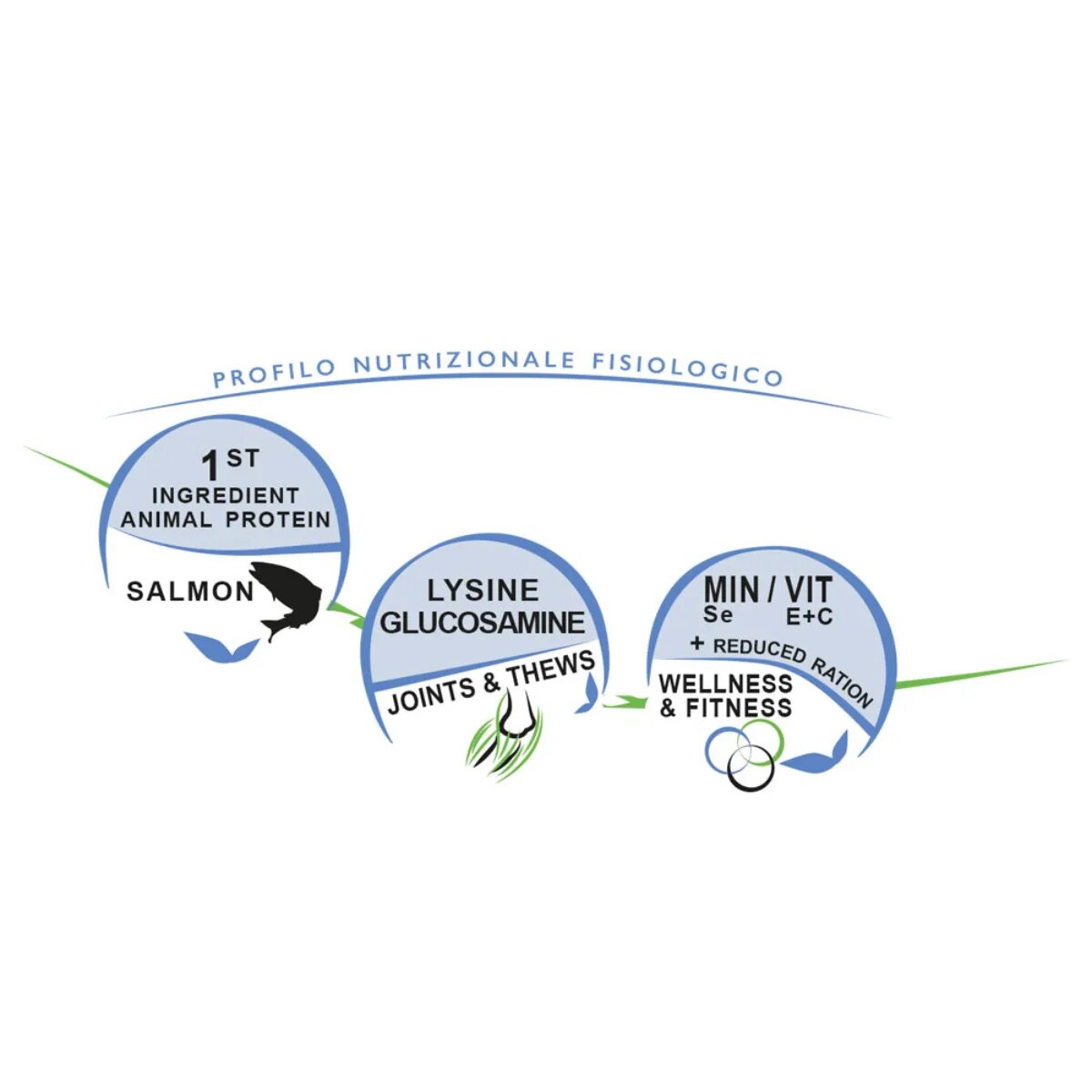 UNICA Classe Longevity XS-XL Somon hrană uscată conținut redus cereale câini obezitate 3kg