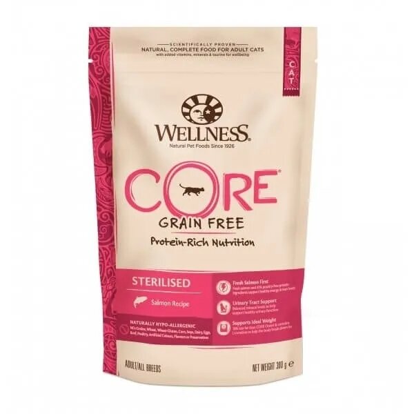 Wellness Core Hrana Uscata Dry Sterilised cu Somon 300 g