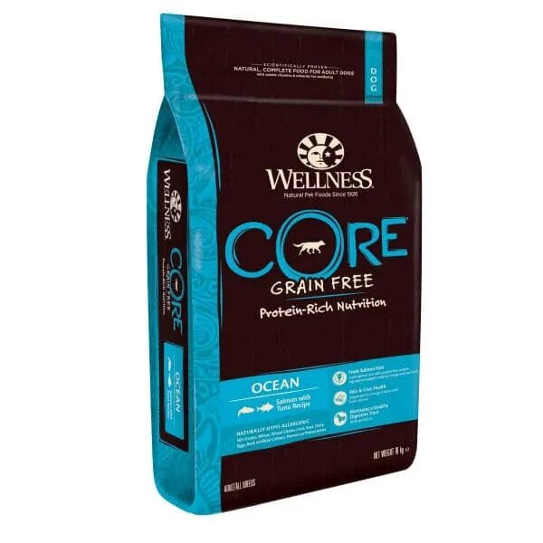 Wellness Core Hrana Uscata Somon si Ton10kg