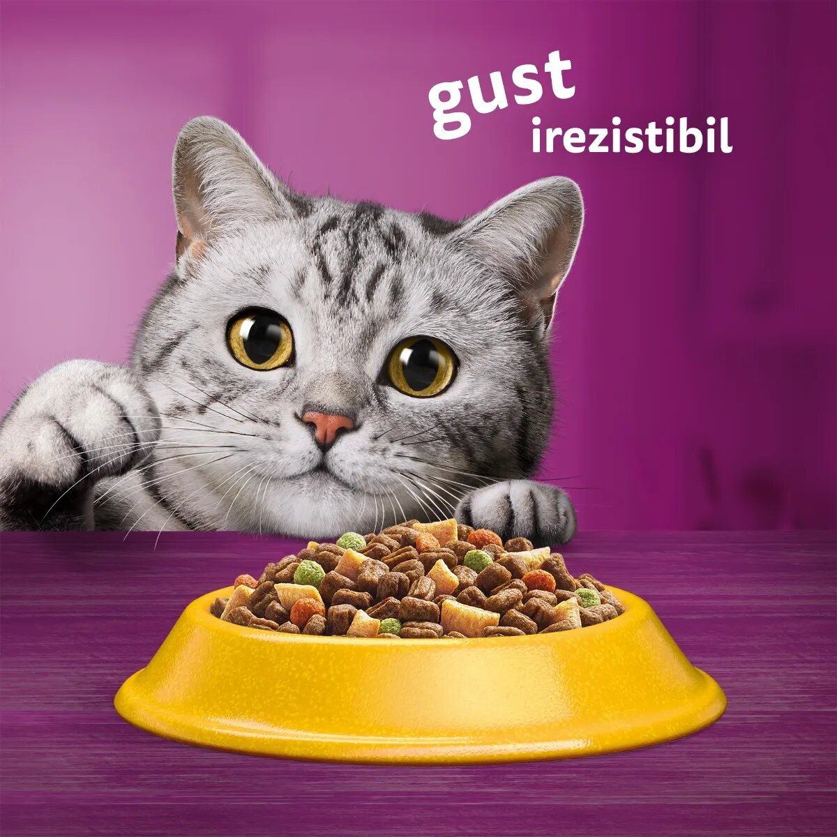 WHISKAS Adult Pui hrană uscată pisici 14kg