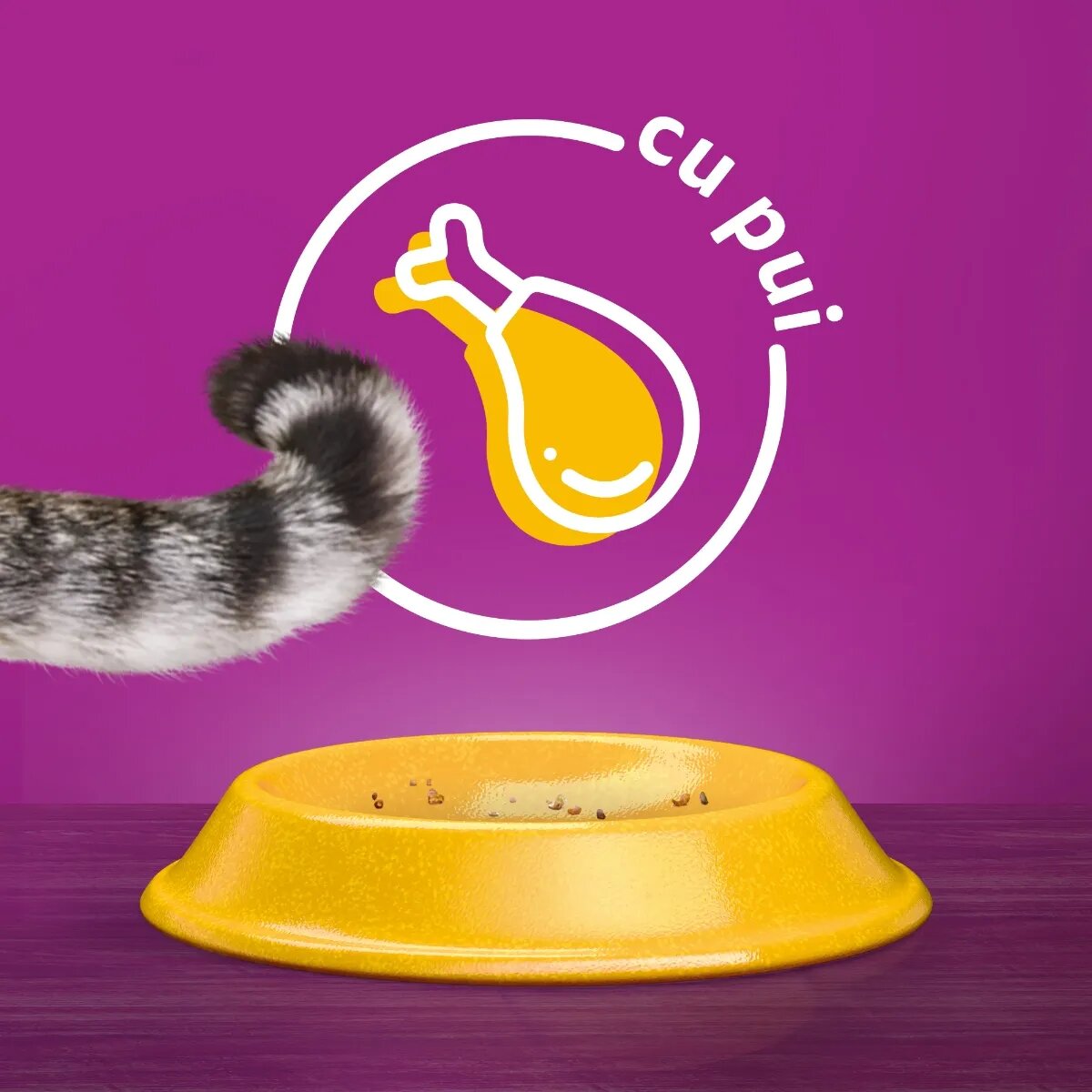 WHISKAS Adult Pui hrană uscată pisici 300g