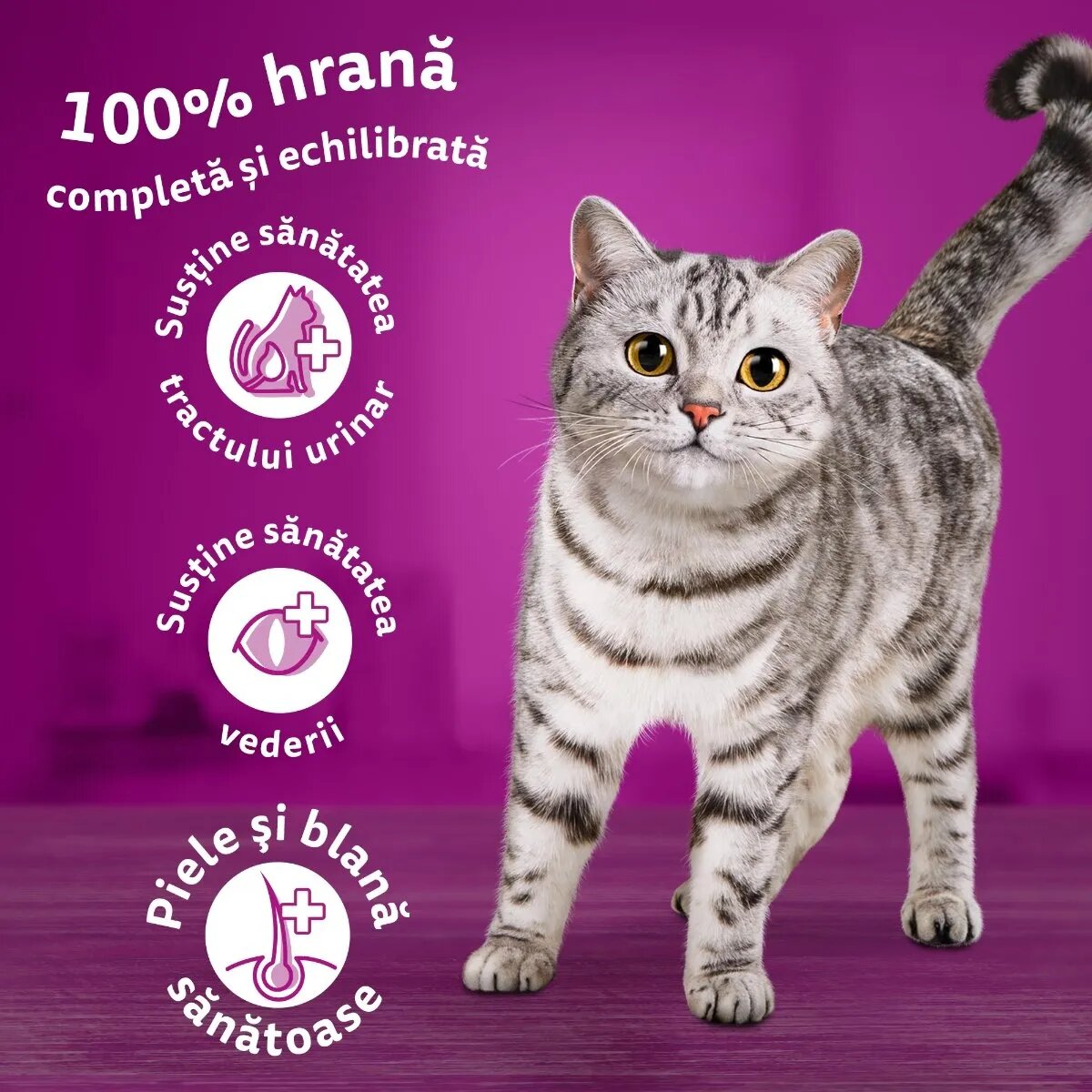 WHISKAS Adult Sterile Pui hrană uscată pisici 800g