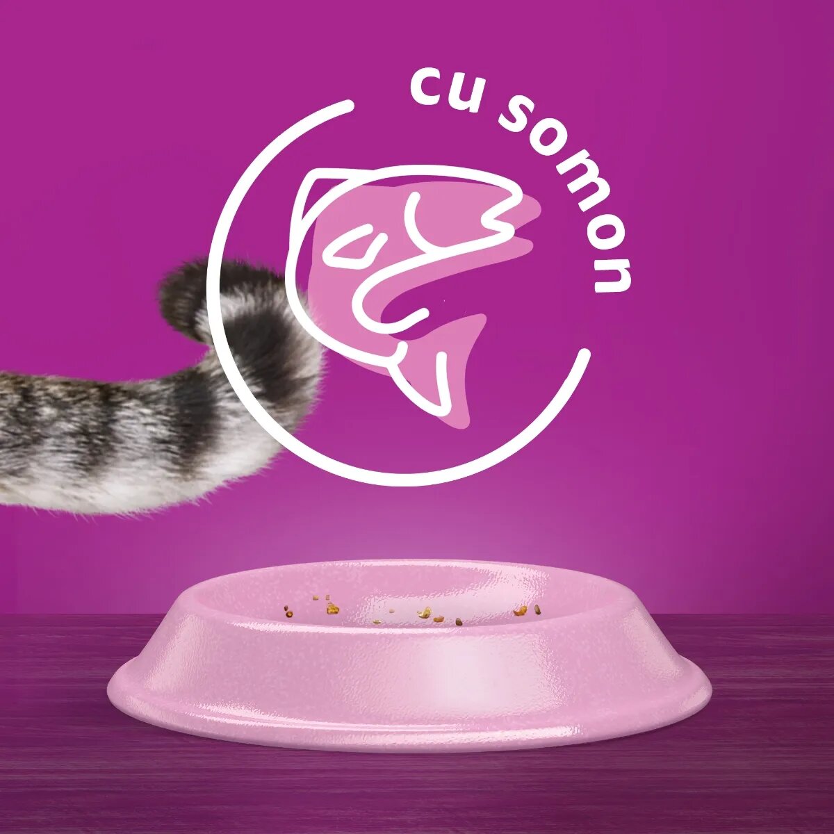 WHISKAS Adult Sterile Somon hrană uscată pisici sterilizate 1.4kg