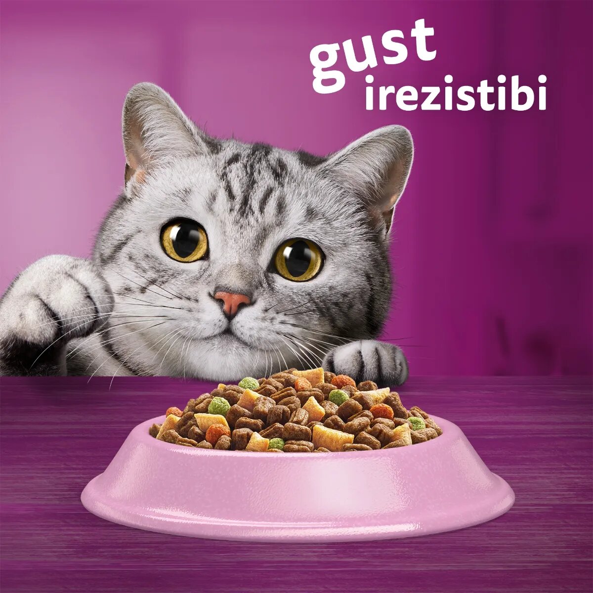 WHISKAS Adult Sterile Somon hrană uscată pisici sterilizate 1.4kg
