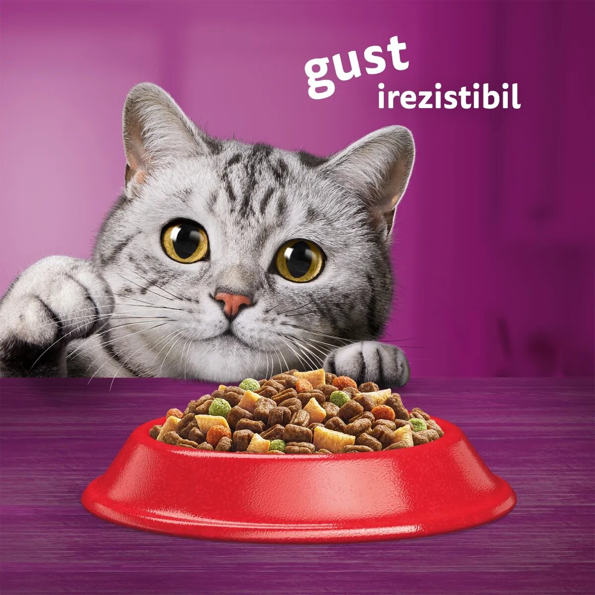 WHISKAS Adult Vită hrană uscată pisici 300g