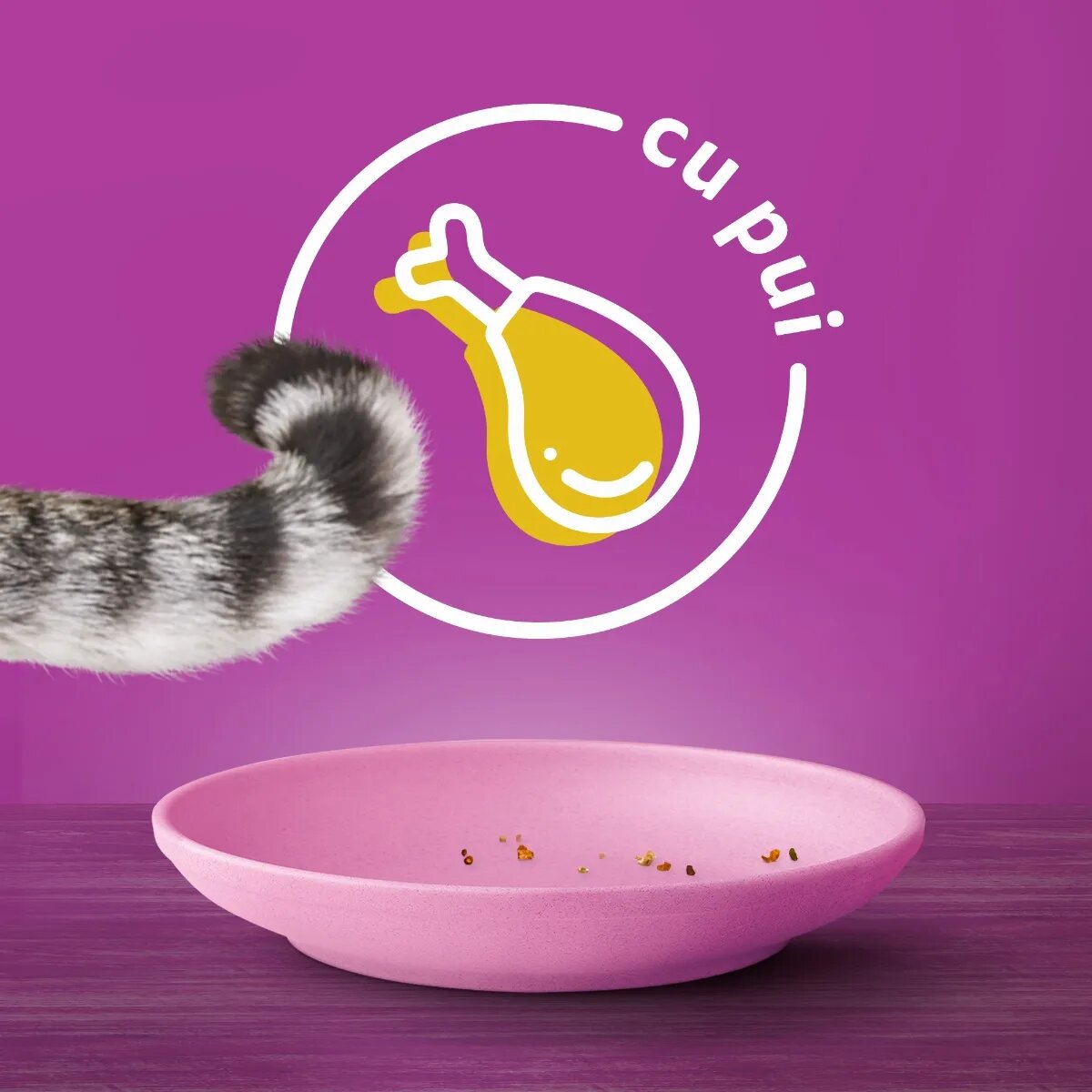 WHISKAS Junior Pui hrană uscată pisici junior 14kg