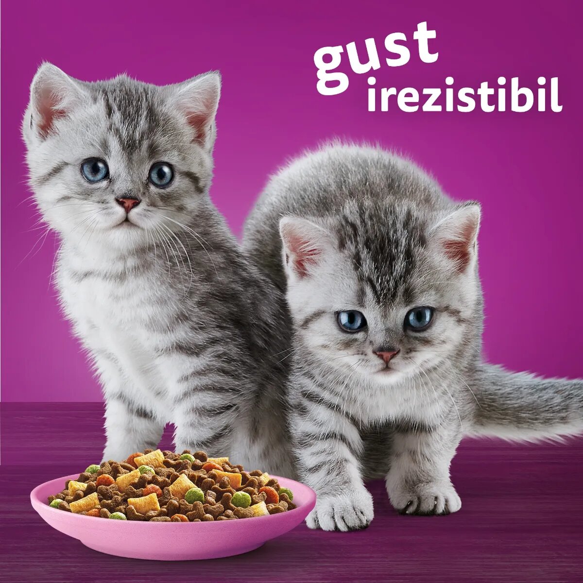 WHISKAS Junior Pui hrană uscată pisici junior 300g