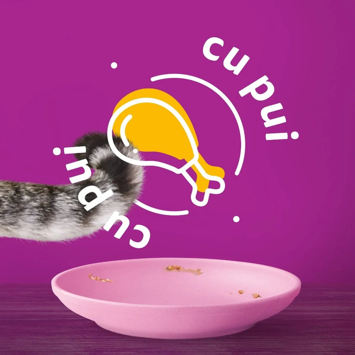 WHISKAS Junior Pui plic hrană umedă pisici junior (în aspic) 85g