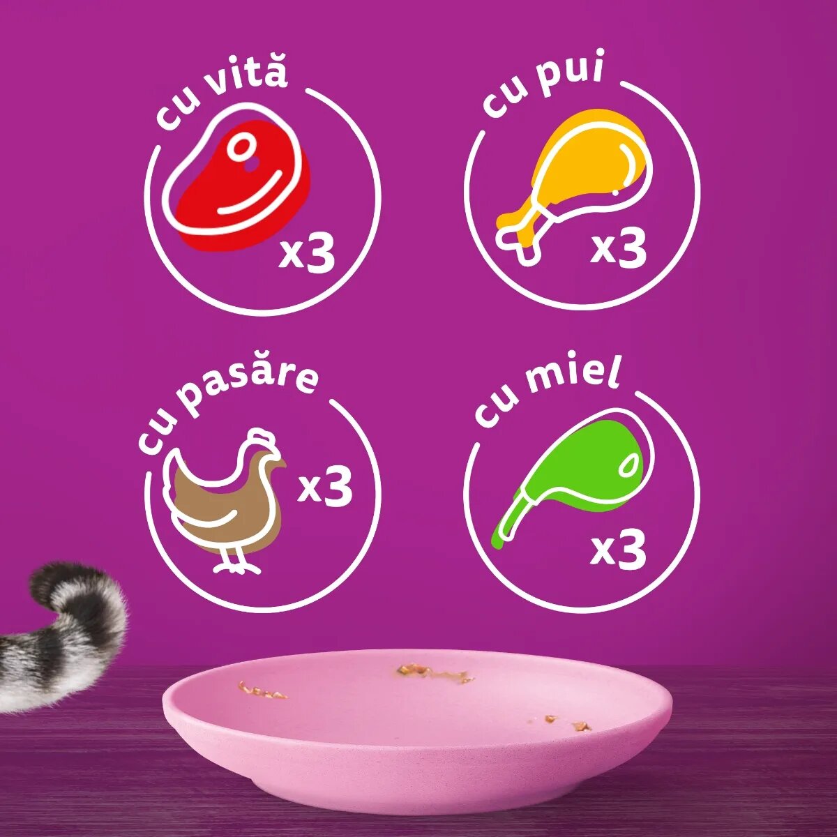 WHISKAS Junior Selectii Clasice Miel Vită Pui și Pasăre plic hrană umedă pisici (în sos) multipack 85g x 12