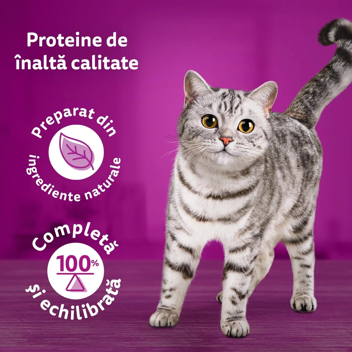 WHISKAS Pure Delight Mixed Selection Vită Pui Somon și Ton plic hrană umedă pisici (în aspic) multipack 85g x 12