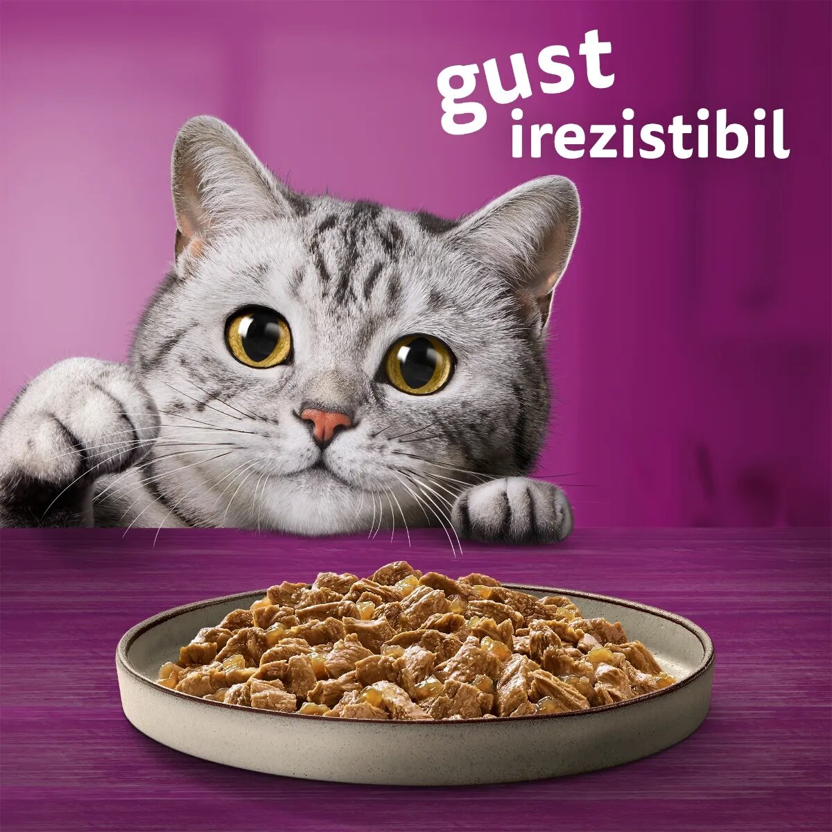 WHISKAS Pure Delight Pui plic hrană umedă pisici (în aspic) 85g