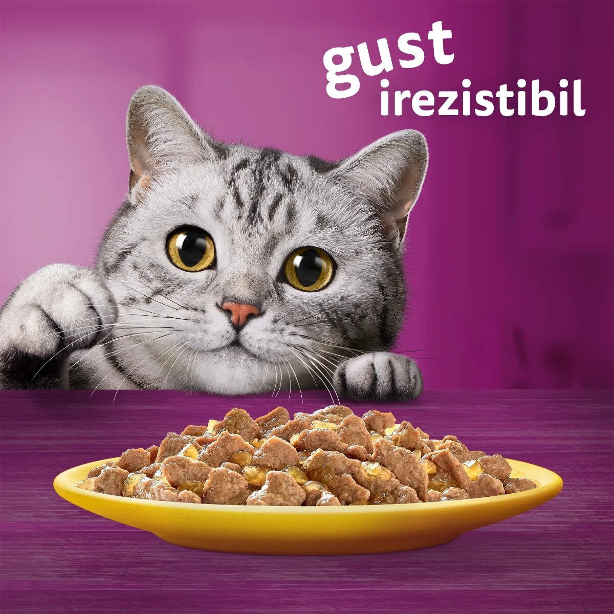WHISKAS Selectii Pasăre Pui și Curcan plic hrană umedă pisici (în aspic) multipack 85g x 4