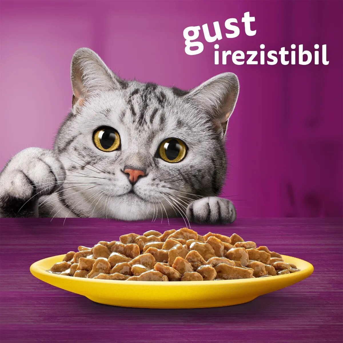 WHISKAS Selectii Pasăre Pui și Curcan plic hrană umedă pisici (în sos) multipack 85g x 4
