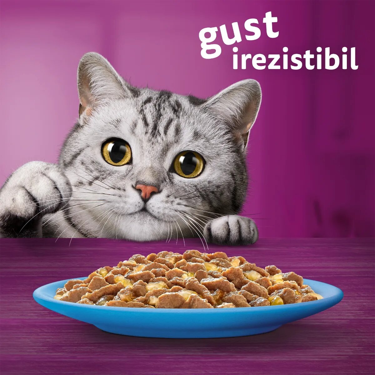 WHISKAS Selectii Pește Somon și Ton plic hrană umedă pisici (în aspic) multipack 85g x 4