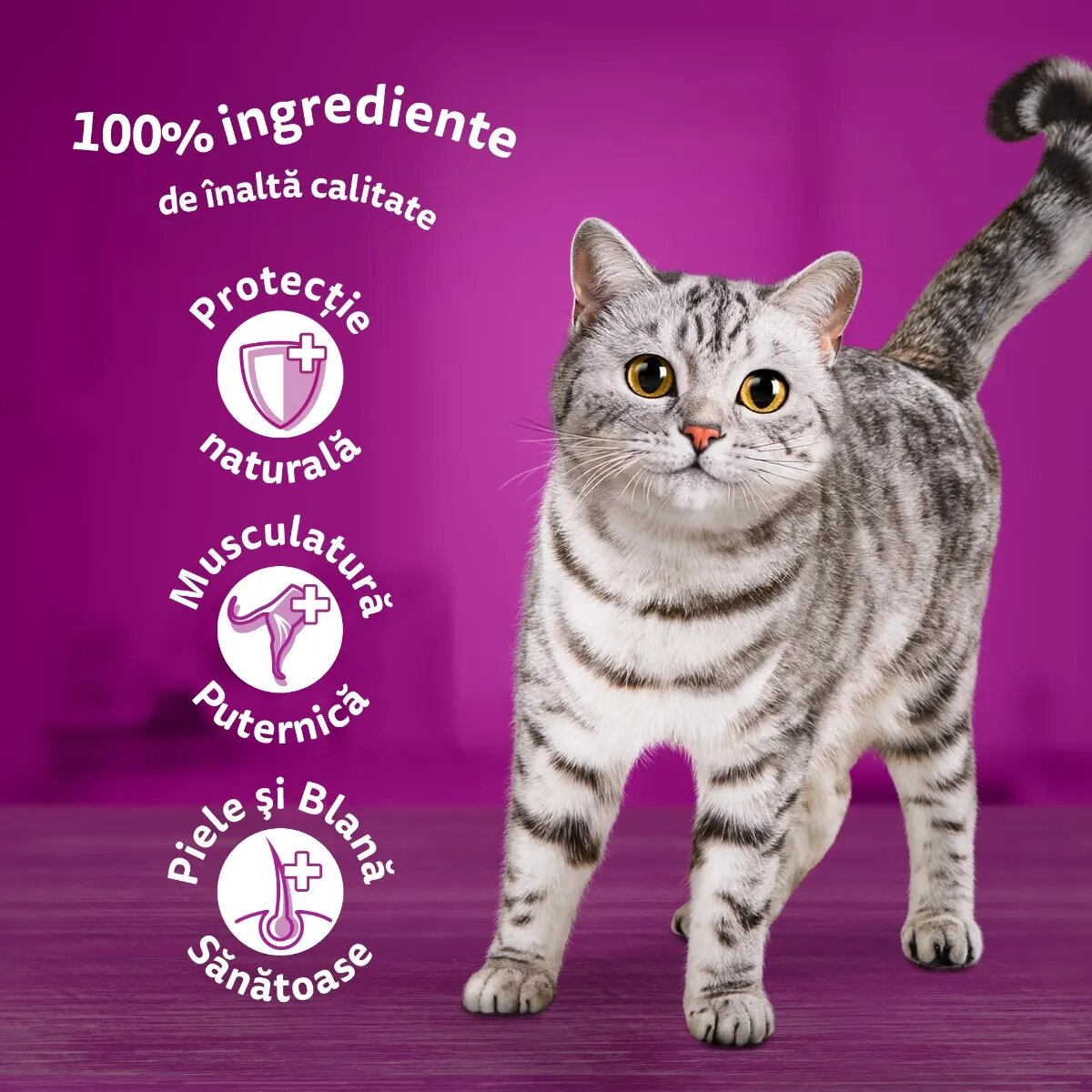 WHISKAS Somon plic hrană umedă pisici (în sos) 85g