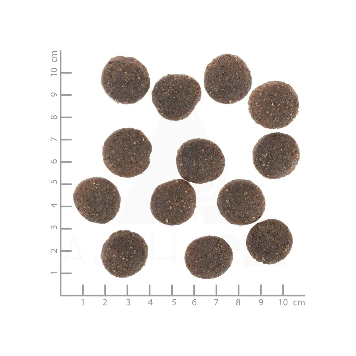 WOLFSBLUT Range XS-XL Miel hrană uscată câini 12.5kg