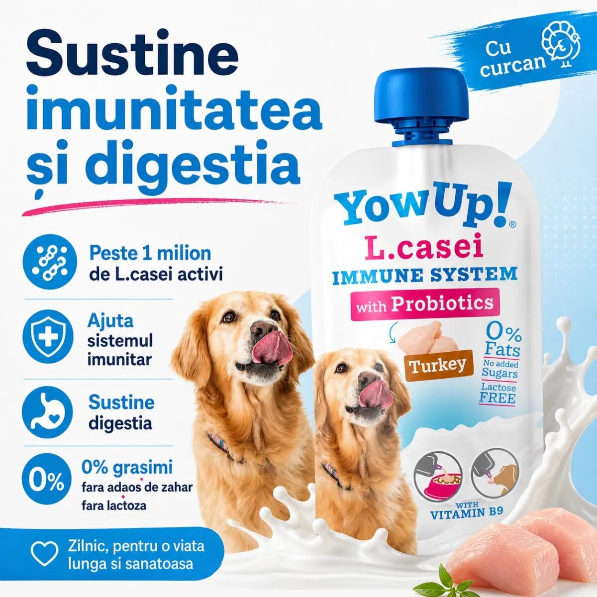 YOWUP! L Casei XS-XL Curcan recompense funcționale câini sistem imunitar sistem digestiv (topping) 115g