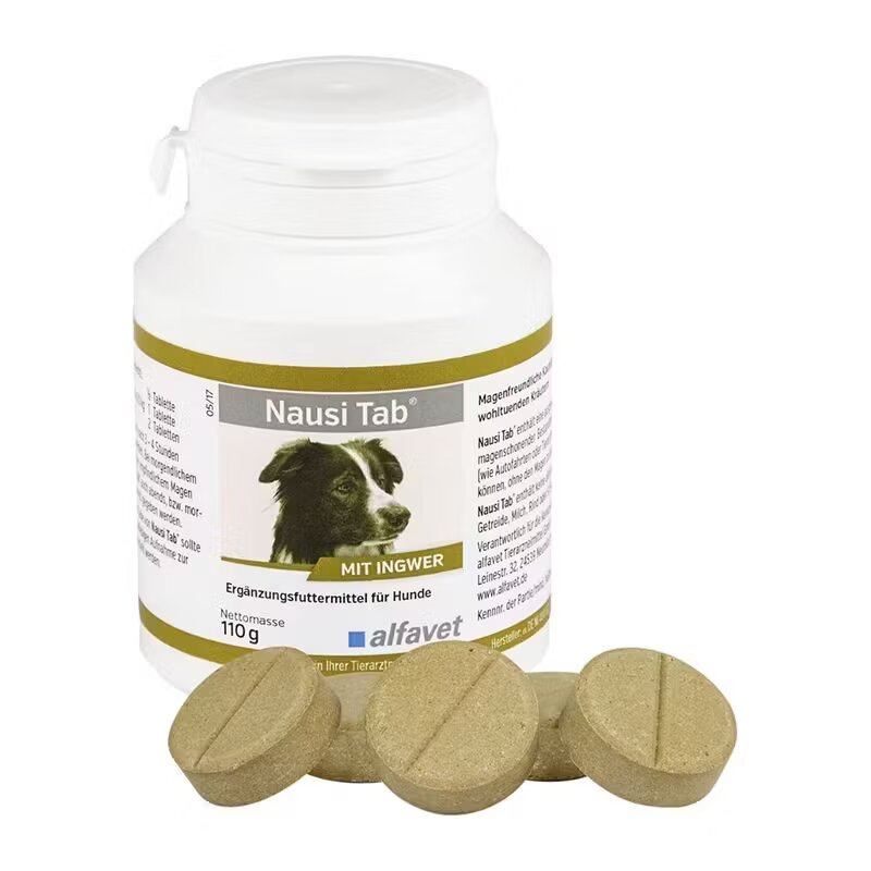 Alfavet Nausi Tab 20 tablete x 5.5 g