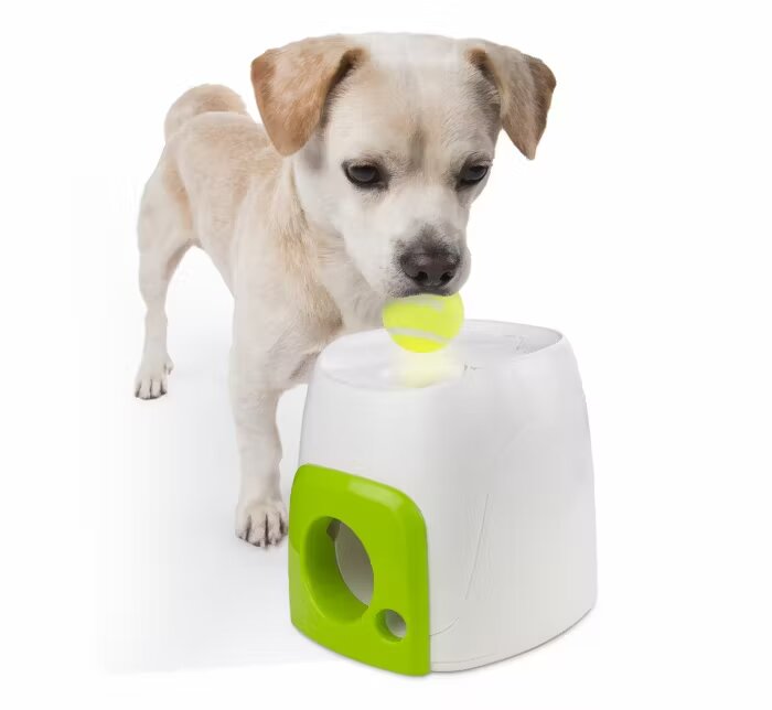 All For Paws Dispenser Interactiv pentru Recompense 16x16x20 cm