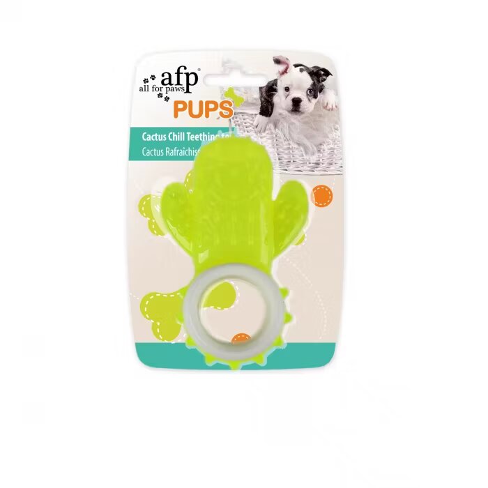 All For Paws Jucarie Cactus pentru Catelusi