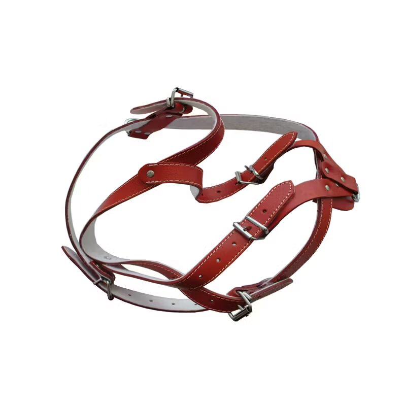 Antal Ham Piele Pentru Caini Cu Ornament Nr.1 Rosu 40-47cm/16mm