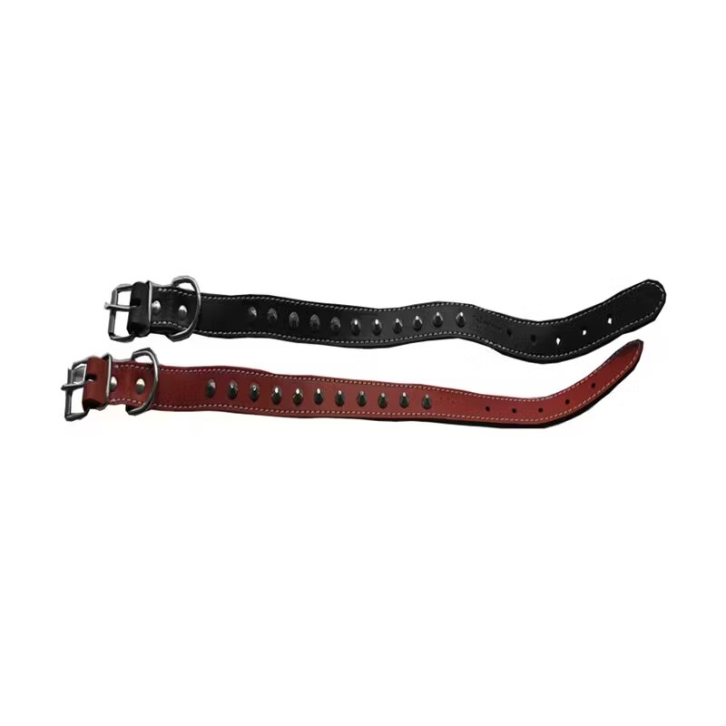 Antal Zgarda Pentru Caini PS+conuri 1 6/40cm Negru Nr. 1