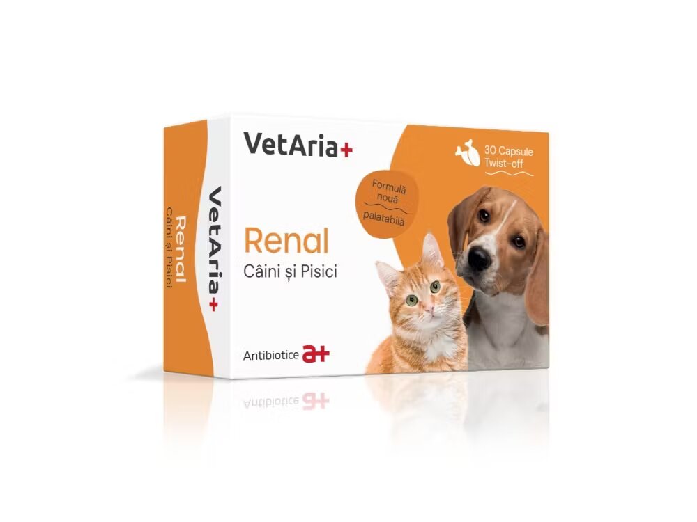 Antibiotice Iasi VetAria+ Renal Caini si Pisici 30 capsule Twist-off