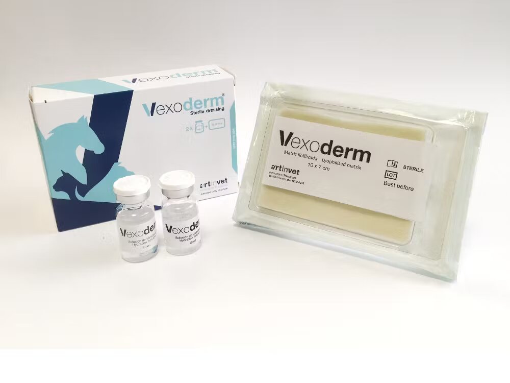 Artinvet VEXODERM 10x7 cm