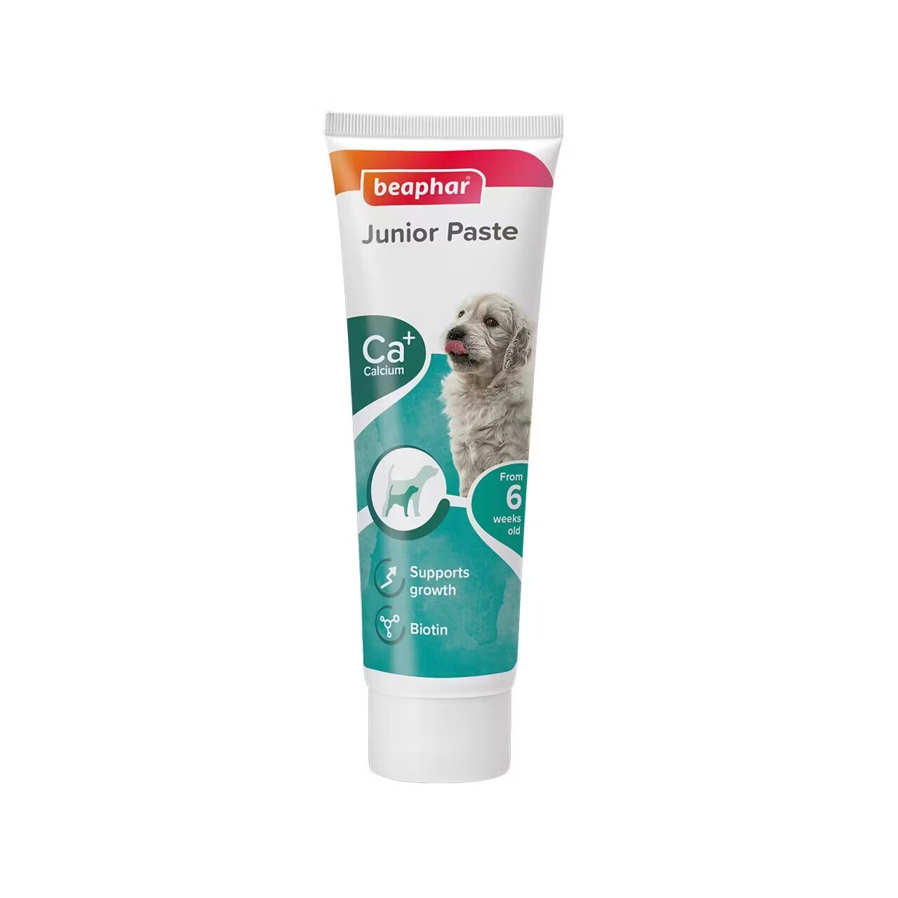 Beaphar Junior Paste Supliment Catelusi 100 g