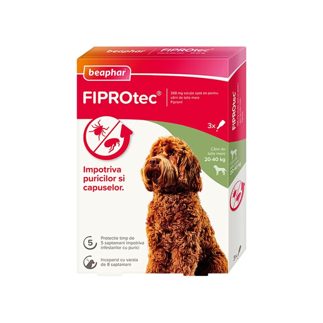 Beaphar Pipete Antiparazitare Caini Fiprotec L 20-40 kg/ 3 pipete x 2.68 ml