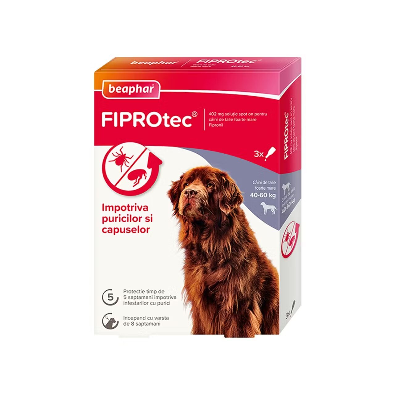 Beaphar Pipete Antiparazitare Caini Fiprotec XL 40-60 kg/ 3 pipete x 4.02 ml