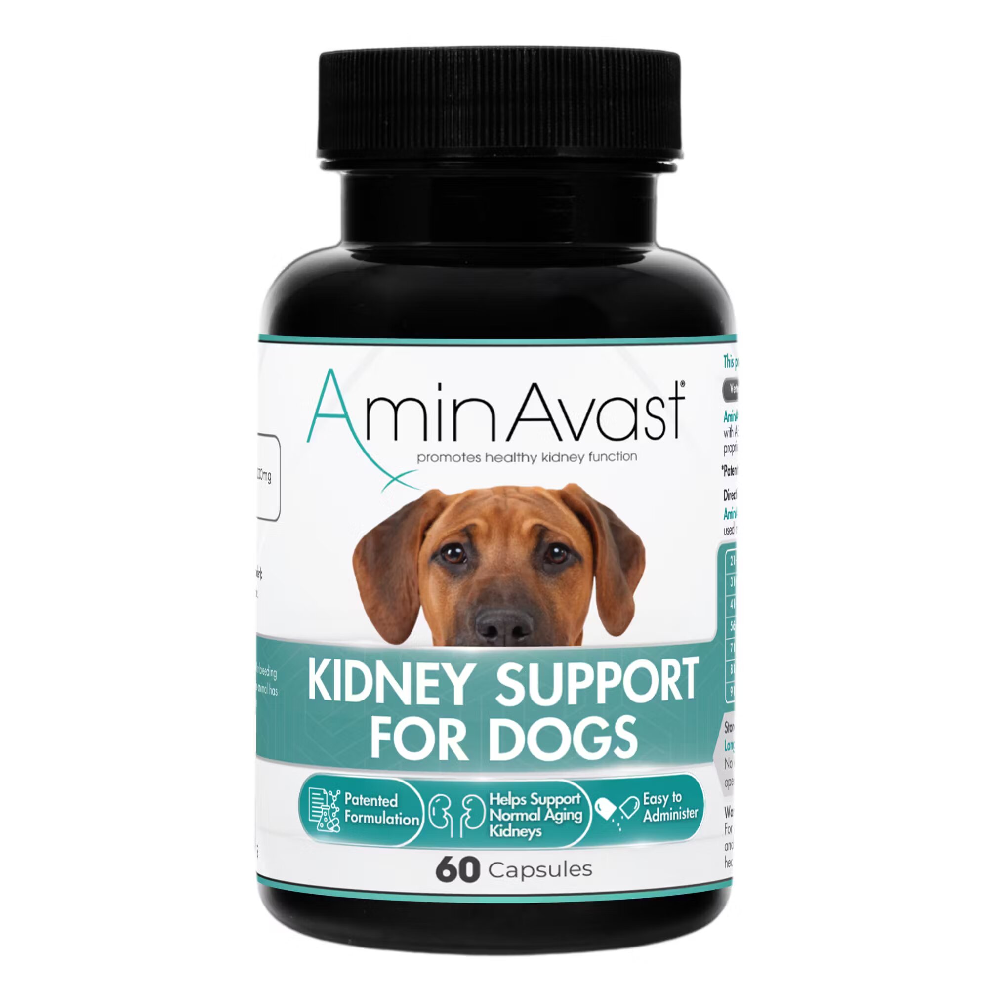Biohealth Solutions Aminavast Dog 1000 mg/ 60 capsule