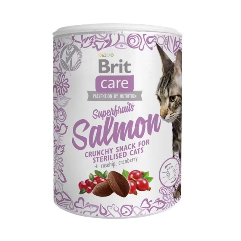 Brit Care Cat Snack Superfruits Salmon 100 g