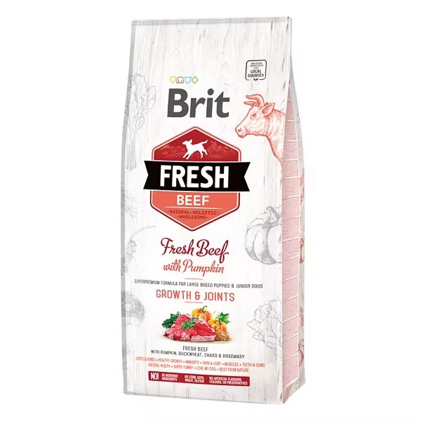 Brit Fresh Beef and Pumpkin Puppy Large 12 kg