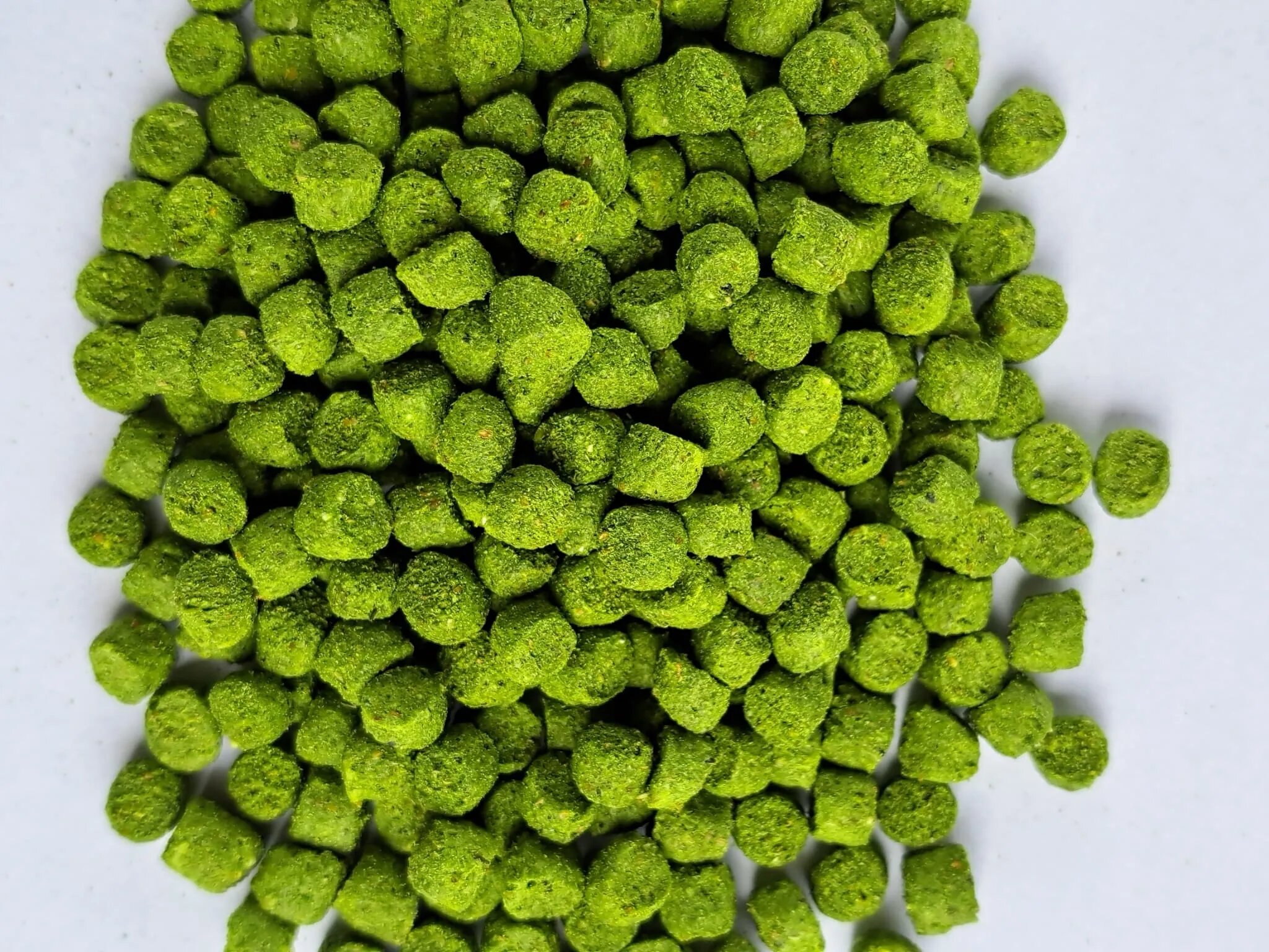 C.A.N 2000 Furaj Special Peste pentru Pescari 6 mm - verde 30 kg