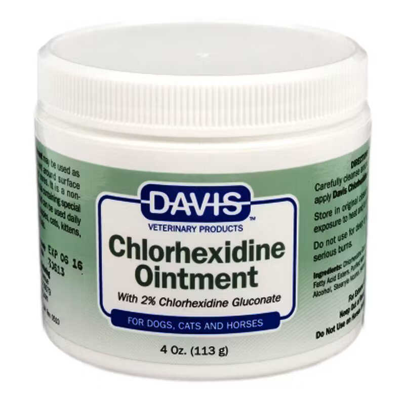 Davis CHLORHEXIDINE 2% OINTMENT x 113 g