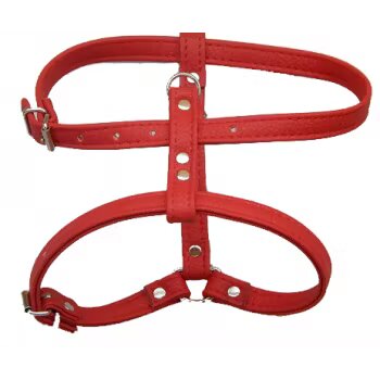 Enjoy Ham Caini Piele Eco 20 mm