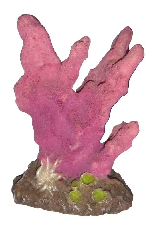 Exotic K Decor Acvariu coral 10cm 407C