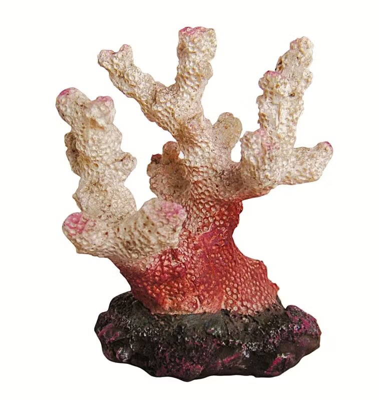 Exotic K Decor acvariu coral 6.5 cm R113