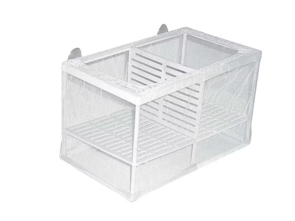 Exotic K Maternitate L 260 x 150 x 160 mm A131