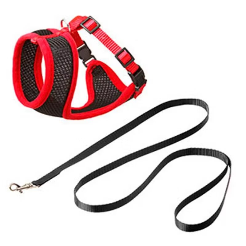 Flamingo Ham Plasa si Lesa Pisici Negru/ Rosu 108/ 1 cm